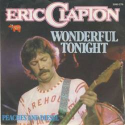 Eric Clapton : Wonderful Tonight